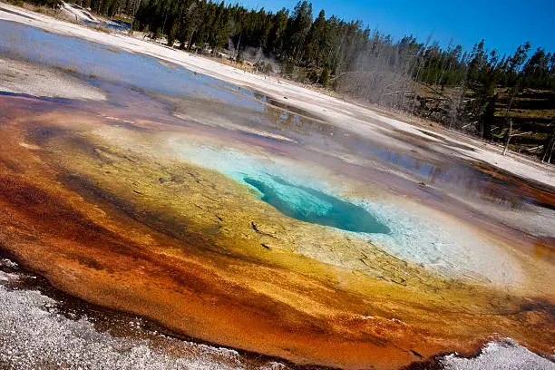 A colorful hot-spring in Yellowstone National Park.  See more