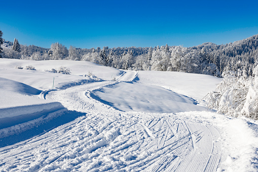 In early December there is already enough snow in central Switzerland, even at medium altitudes, for beautiful cross-country ski trails. The photo was taken in Schwyz Canton47°9'0.6565 N 8°42'38.7545 E