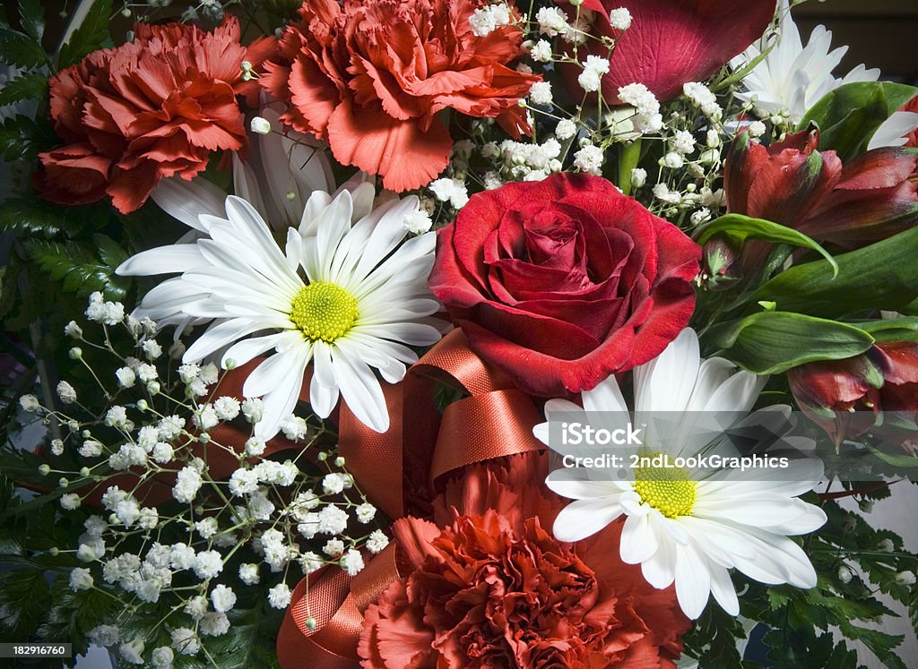 Bouquet de rouge et blanc - Photo de Arbre en fleurs libre de droits