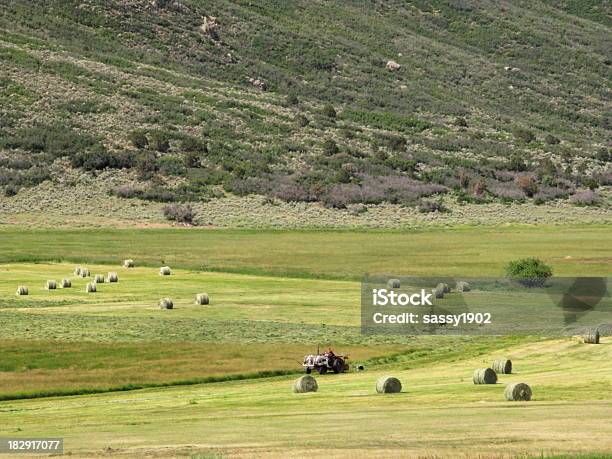 Fattoria Paesaggio Rurale Di Campo Di Fieno - Fotografie stock e altre immagini di Midwest - Midwest, Occupazione, Raccolto