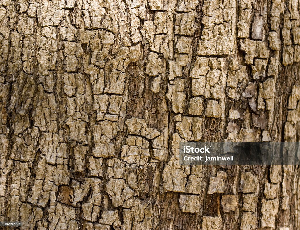 Abstracto árbol de corteza Violento - Foto de stock de Abstracto libre de derechos