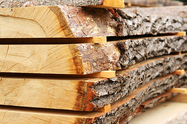 Sawed oak tree trunk plank being dried stock photo