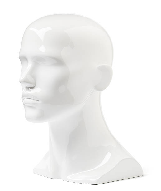 520+ Bald Mannequin Heads Pictures Stock Photos, Pictures & Royalty-Free  Images - iStock