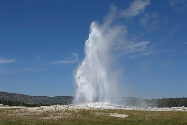 geyser old faithful - geothermy photos et images de collection