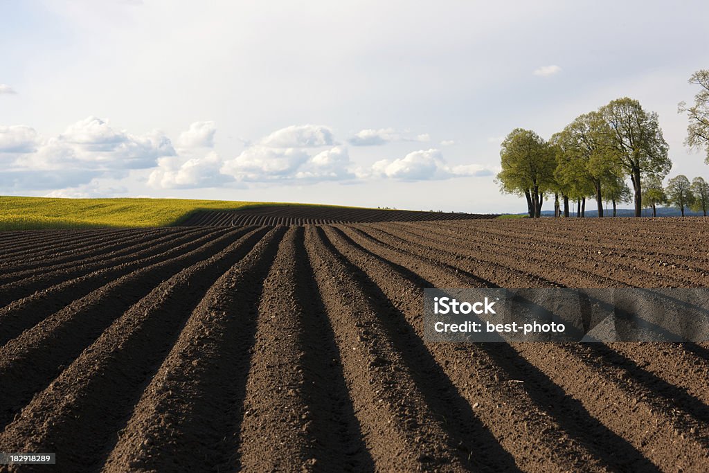 Terre cultivée - Photo de Agriculture libre de droits