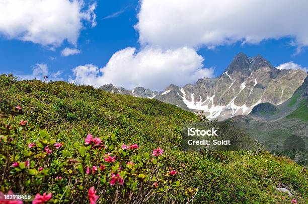 Verano En Tirol Foto de stock y más banco de imágenes de Aire libre - Aire libre, Alpes Europeos, Arbusto