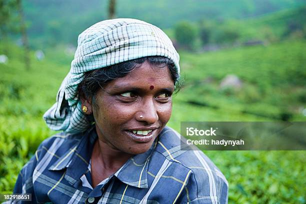 Frauen Ernten Teeblätter Stockfoto und mehr Bilder von Agrarbetrieb - Agrarbetrieb, Teeblätter, Teepflanze