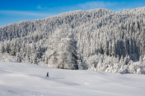 In early December there is already enough snow in central Switzerland, even at medium altitudes, for beautiful snowshoe hiking\nThe photo was taken in Schwyz Canton\n47°8'56.3516 N 8°42'34.9571 E