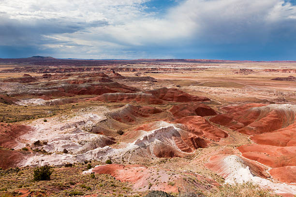 Kachina Point View, Petrified Forest National Park, Arizona "Multicolored hills ripple the desert in view from Kachina Point, Petrified Forest National Park. Horizontal shot." kachina doll photos stock pictures, royalty-free photos & images