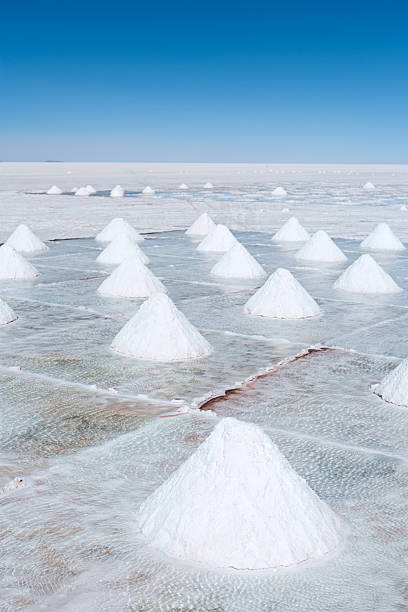 istock Salar de Uyuni, Altiplano Bolivia 182918883