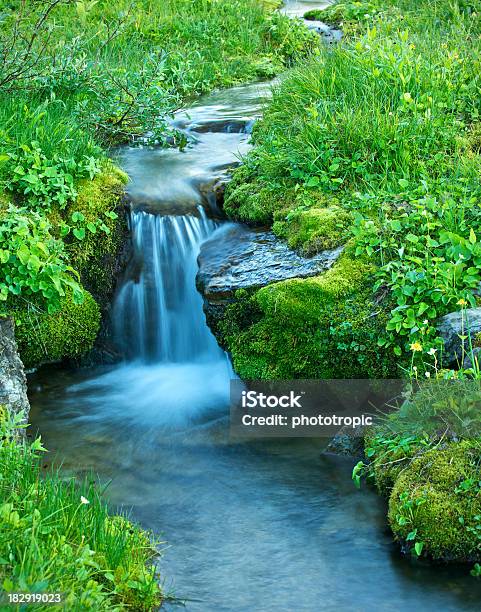 Zarte Alpine Stream Stockfoto und mehr Bilder von Bach - Bach, Berg, Bildhintergrund
