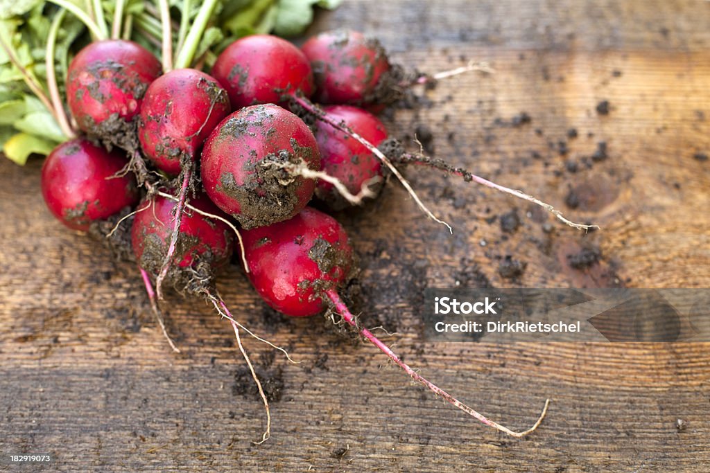 Frische radishes mit Wurzeln. - Lizenzfrei Bauernhaus Stock-Foto