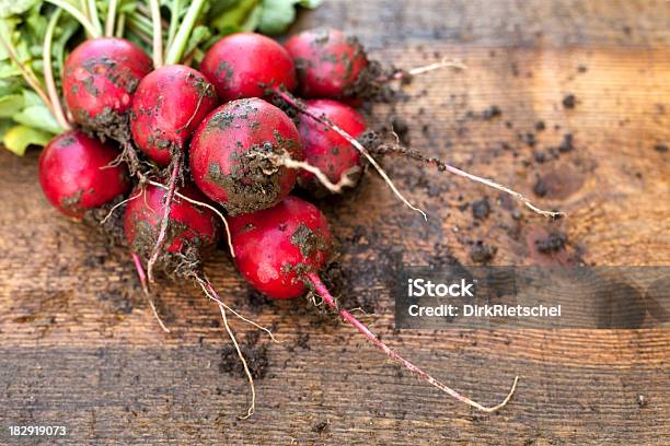 Recién Rábanos Con Raíces Foto de stock y más banco de imágenes de Alimento - Alimento, Casa, Casa rural