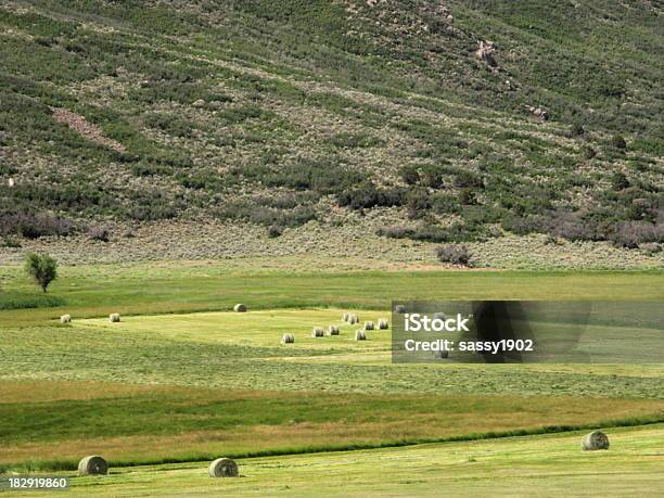 Hay Bales Farm Field Stock Photo - Download Image Now - Agricultural Activity, Agricultural Field, Agriculture