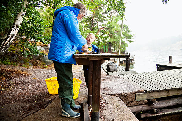 petit garçon en regardant le nettoyage de poissons - sweden fishing child little boys photos et images de collection