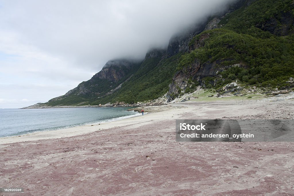 Praia na Noruega com a areia vermelha - Foto de stock de Ajardinado royalty-free