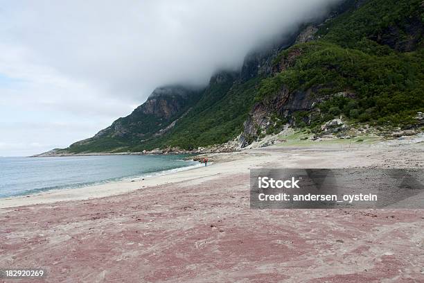 Foto de Praia Na Noruega Com A Areia Vermelha e mais fotos de stock de Ajardinado - Ajardinado, Areia, Arquipélago