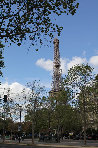 The Eiffel Tower, Champ de Mars in Paris, France.