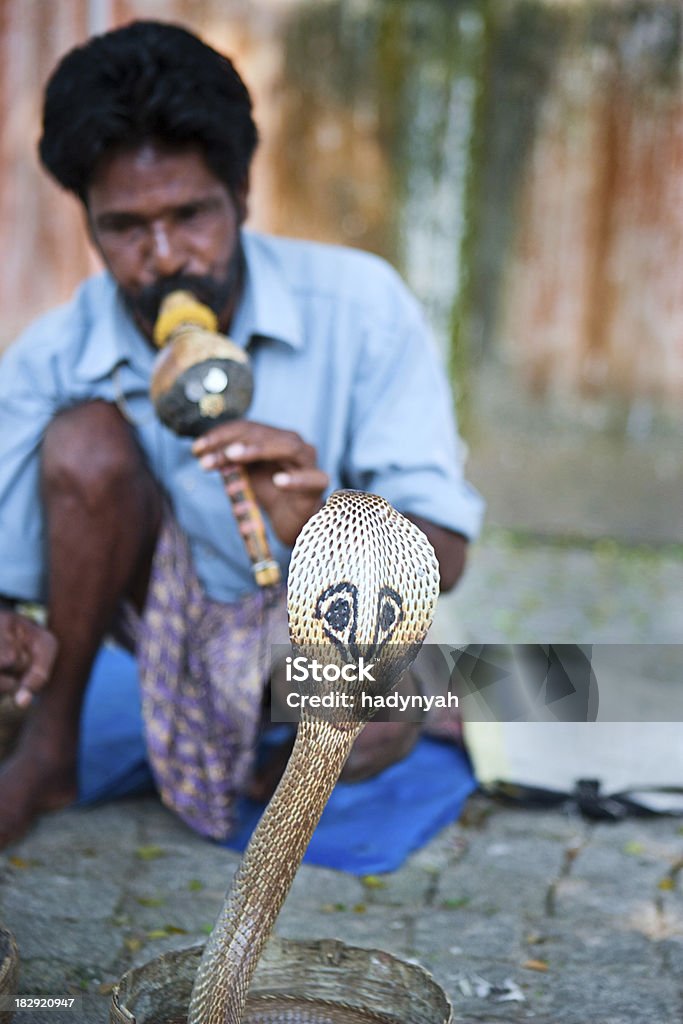 Indian Schlangenbeschwörer - Lizenzfrei Flöte Stock-Foto