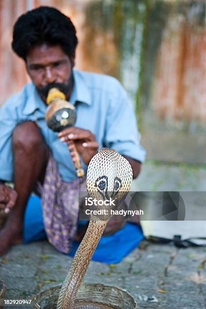 Indian Encantador De Serpientes Foto de stock y más banco de imágenes de Encantador de serpientes - Encantador de serpientes, Flauta - Instrumento de viento de madera, Serpiente