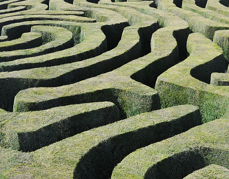 A green labyrinth maze puzzle of finely manicured and clipped green topiary hedges