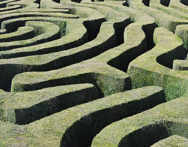 Amazing Maze A green labyrinth maze puzzle of finely manicured and clipped green topiary hedges walled garden stock pictures, royalty-free photos & images