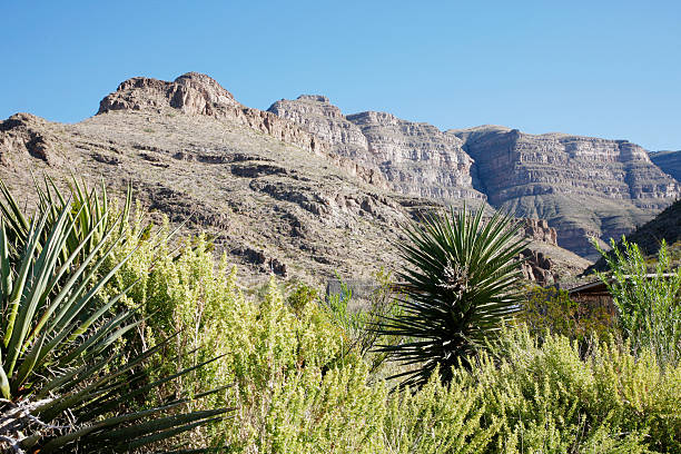 parque de estado conmemorativo de oliver lee - alamogordo fotografías e imágenes de stock