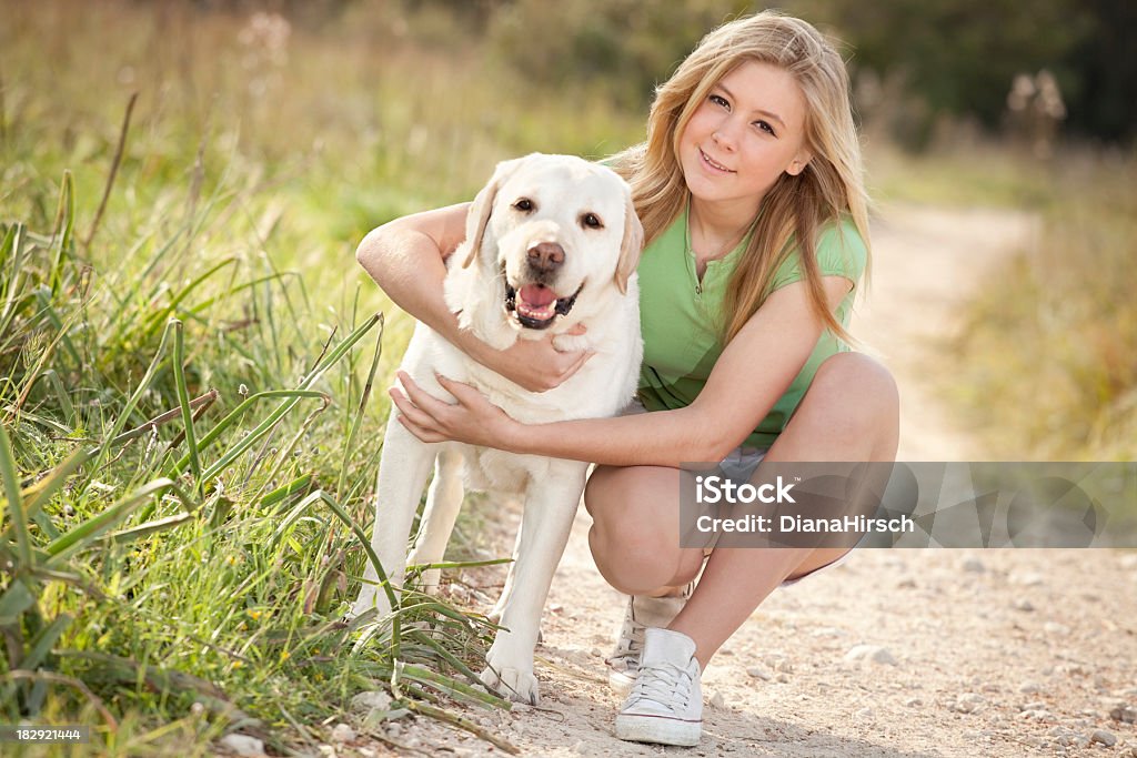 Mon retriever du labrador - Photo de 14-15 ans libre de droits