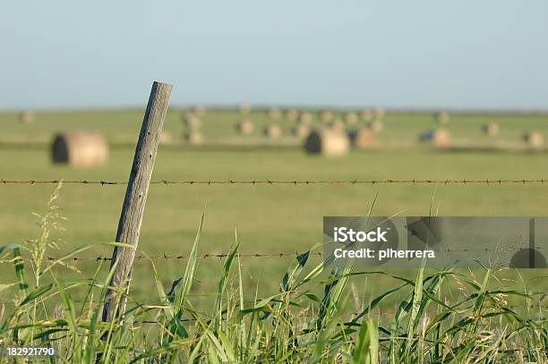 Barbed Wire Fence Post And Hay Bales Stock Photo - Download Image Now - Agricultural Field, Agriculture, Bale