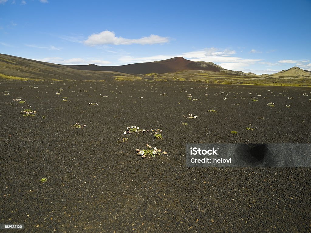 Deserto nera in Islanda - Foto stock royalty-free di Ambientazione esterna