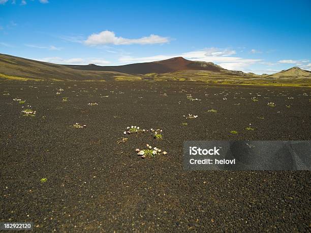 Foto de Black Deserto Na Islândia e mais fotos de stock de Areia - Areia, Azul, Cor Preta