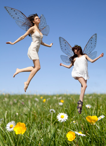 Two fairies in field