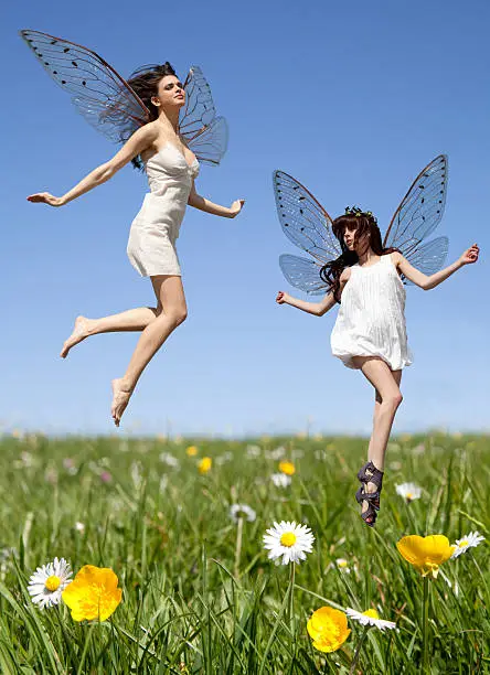 Two fairies in field