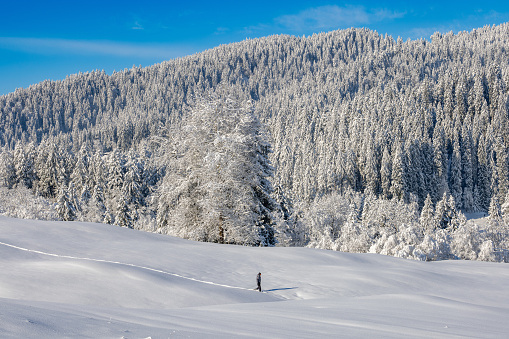 In early December there is already enough snow in central Switzerland, even at medium altitudes, for beautiful snowshoe hiking\nThe photo was taken in Schwyz Canton\n47°8'56.3516 N 8°42'34.9571 E