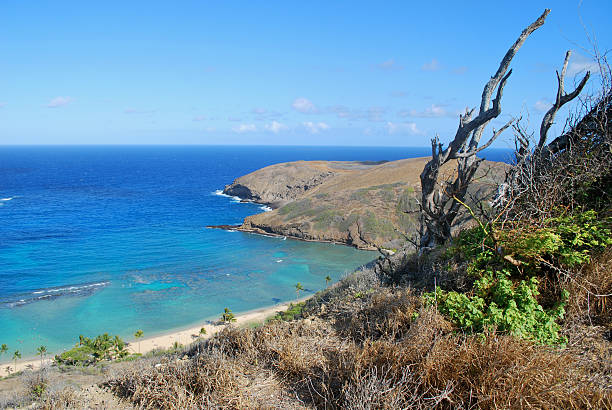 istock Hanauma Bay West Rim, Oahu 182922379
