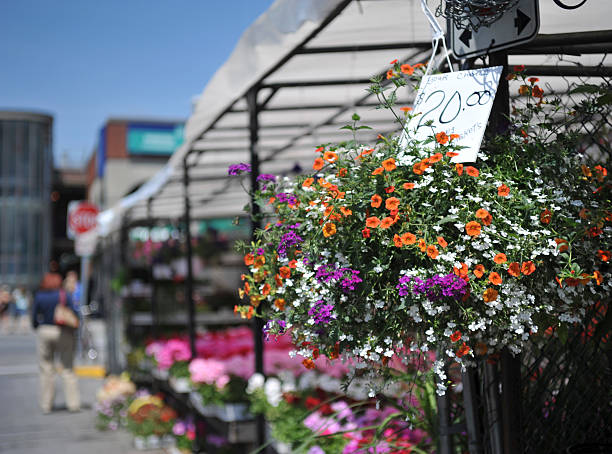 istock Flower for Sale 182922397