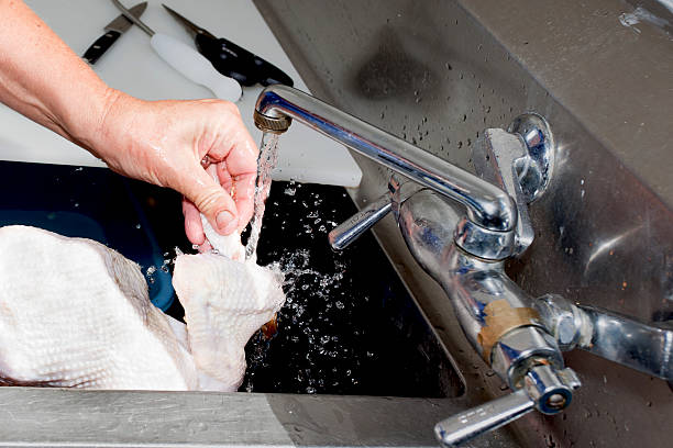 Processing Chickens stock photo