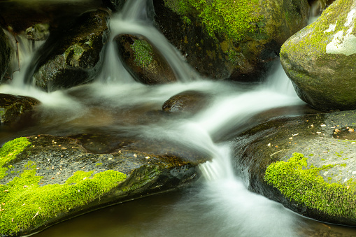 Water cascade along Roaring Fork Motor Nature Trail in Spring, Great Smoky Mountains National Park, Tennessee, USA