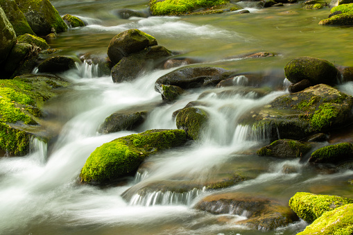 Small waterfalls along Roaring Fork Motor Nature Trail in Spring, Great Smoky Mountains National Park, Tennessee, USA
