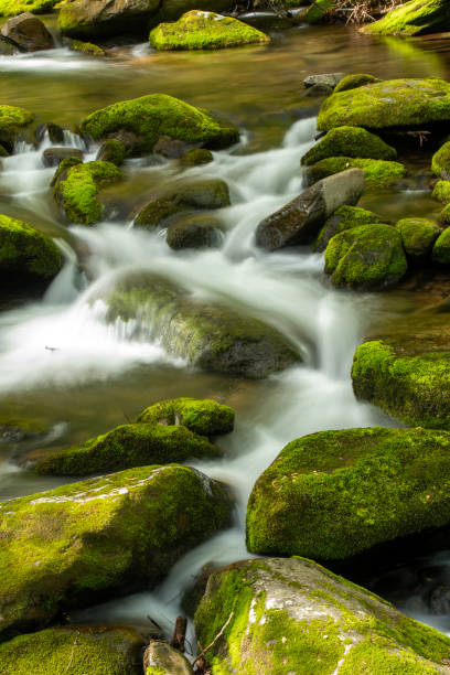 istock Water cascade in Great Smoky Mountains National park 1829230681