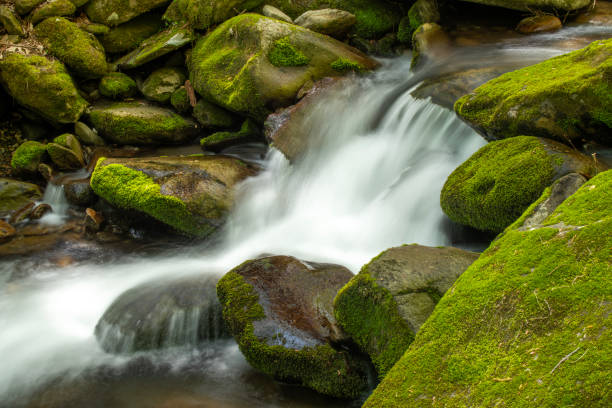 Small waterfalls along Roaring Fork Motor Nature Trail in Spring, Great Smoky Mountains National Park, Tennessee, USA