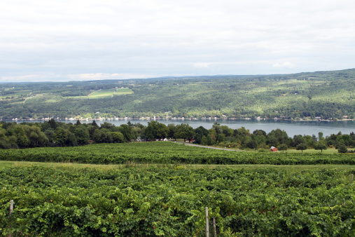 Keuka Lake in New York State Fingerlakes Wine CountryClick on banner below for similar images: