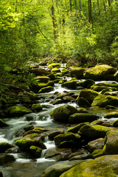 istock Water cascade in Great Smoky Mountains National park 1829231727
