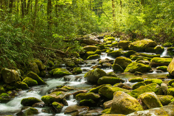 istock Water cascade in Great Smoky Mountains National park 1829231820