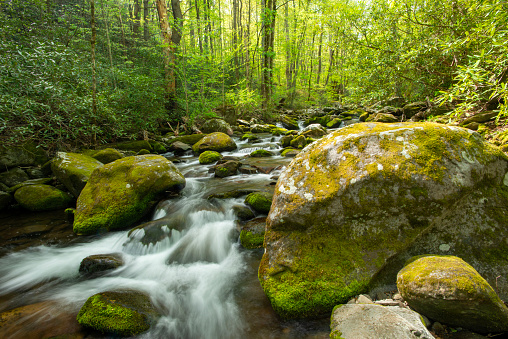 Small waterfall cascading into running river. Stones and rocks in stream . Summer landscape