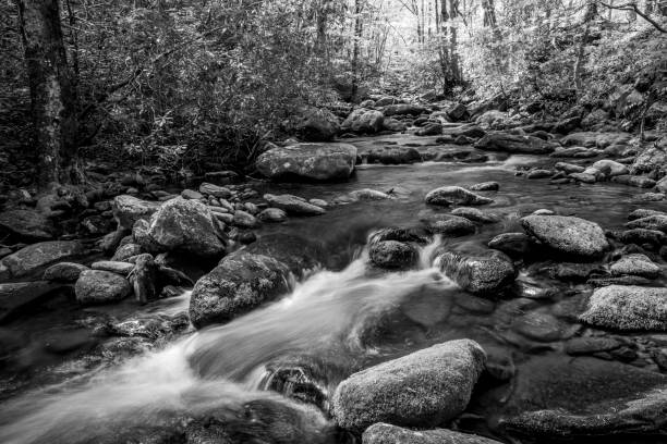 istock Water cascade in Great Smoky Mountains National park 1829233804