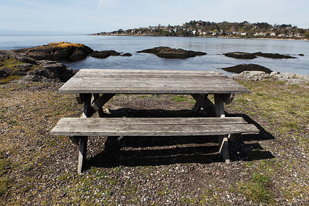 istock picnic by the sea 182923390