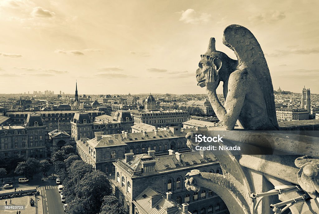 Blick von der Kathedrale Notre Dame, Paris - Lizenzfrei Kathedrale von Notre Dame Stock-Foto