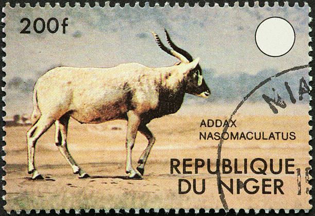 istock large African addax antelope 182923750