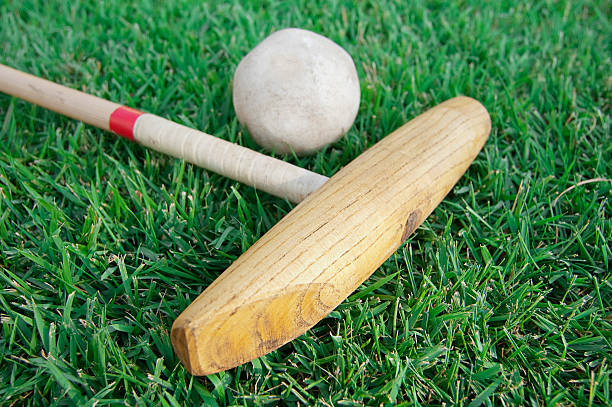 Grass level photo of girl playing croquet, about to hit the ball thruogh the wicket